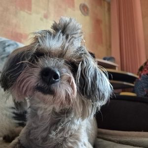 Meet your Posher, Romas